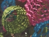 Best of Show (Detail)- Ngo