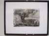 Honorable Mention - Placke