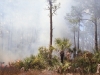 "Fire in the Pines, Big Cypress #3"