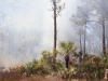 "Fire in the Pines, Big Cypress #3"