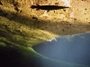 "Gar at Manatee Springs State Park"