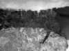 Tuft \"Distillation Series #22\"