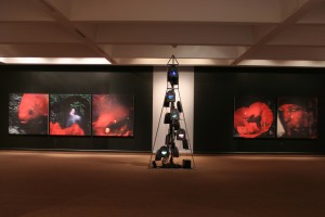 "Rewind" Installation, Sir Wilfred Grenfell College Art Gallery, Corner Brook, Newfoundland, 2006