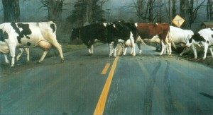 William Beckman "Crossing" 1983, oil on canvas, 90" x 156"